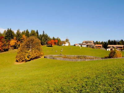 Bild 7 aus  Schadnerhof