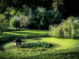 Bild 15 aus  Ferienhof Reckziegel