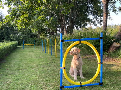 Bild 12 aus  Grünhoff's Landhuus