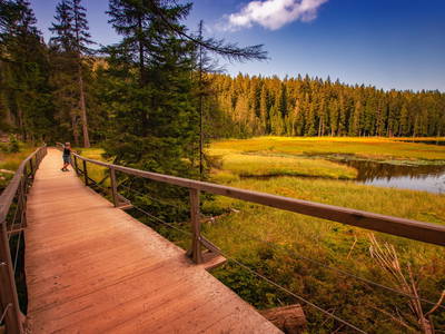 Bild 37 aus  Arber Lofts