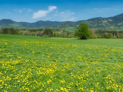 Bild 12 aus  Beim Melchern