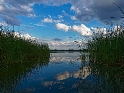 Bild 37 aus  Gestüt Hof am See