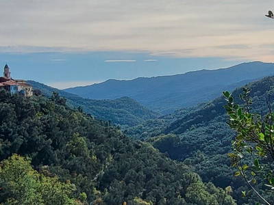 Bild 7 aus  Oliva Azzurra Appartamento