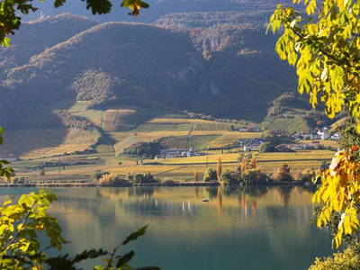 Bild 8 aus  Apart Hotel Malga