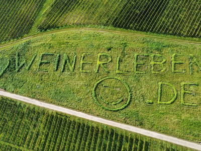 Bild 23 aus  Weingut und Gästehaus Kruft-Willems