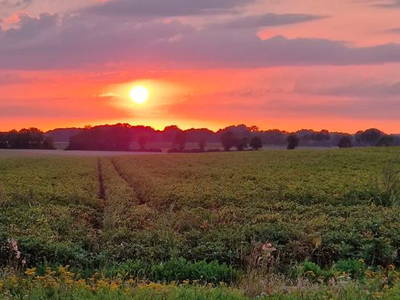 Bild 8 aus  Kreuger's Hof