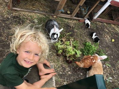 Bild 7 aus  Luftsnapper & Fellnasen