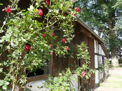 Bild 8 aus  Rumlerhof