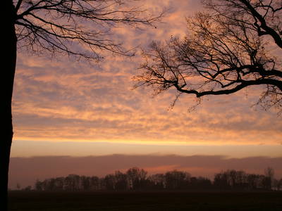 Bild 34 aus  Erlenhof im Oderbruch - Rund ums Schaf