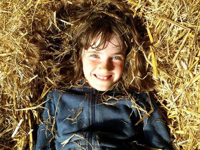 Bild 9 aus  Bernsteinreiter Barth