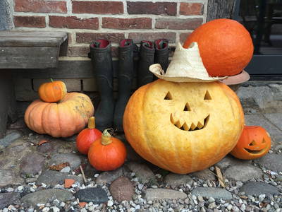 Bild 42 aus  Gut Friederikenhof