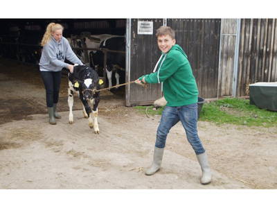 Bild 11 aus  Ferienhof Wiesengrund