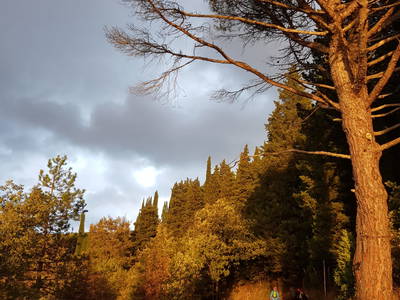 Bild 50 aus  Casa Bivignano