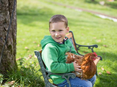 Bild 7 aus  Hof Heite