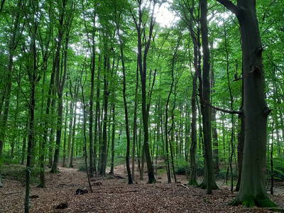 Bild 39 aus  Ferienhof Lucht