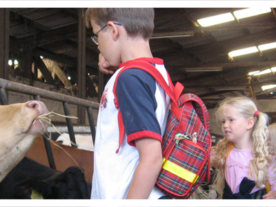 Bild 21 aus  Bauerngut Schiefelbusch