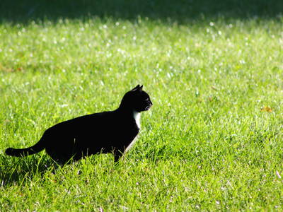 Bild 22 aus  Forsthof Niendorf