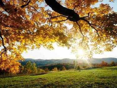 Bild 10 aus  Lettnerhof