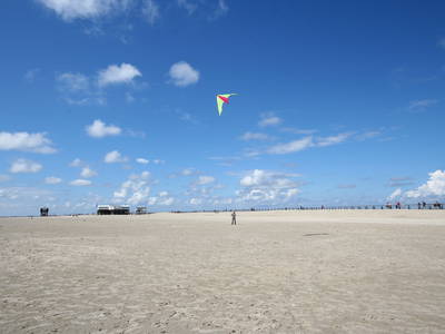 Bild 56 aus  Ferienhof Peter -  Ponys - streicheln, striegeln, füttern  -  Wattwanderungen + ganz viel Nordsee