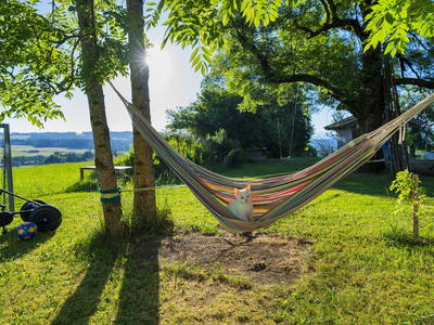 Flöckchen in der Hängematte
