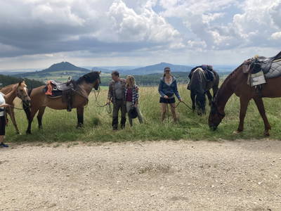 Bild 6 aus  Dachsmühle: Urlaub mit Pferd, Naturidylle, Ruhe, Auszeit