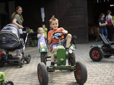 Bild 9 aus  Gerwenshof