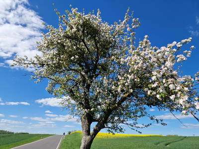 Bild 14 aus  Landhaus Jakob