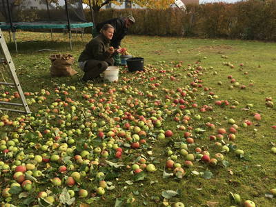 Bild 53 aus  Ostsee Ferienhof Kluvetasch