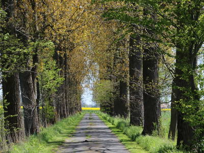 Bild 37 aus  Katrin's Ferienhof