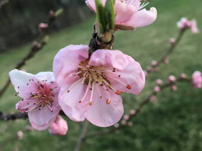 Bild 10 aus  Bioland Bauernhof Hausergut