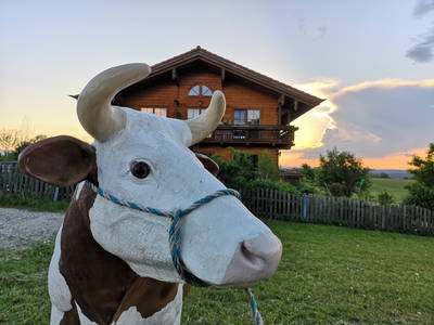 Bild 19 aus  Auf'm Reifnhof: Ihr Kreativhof am Simssee im Chiemgau