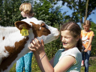Bild 2 aus  Ostseebauernhof