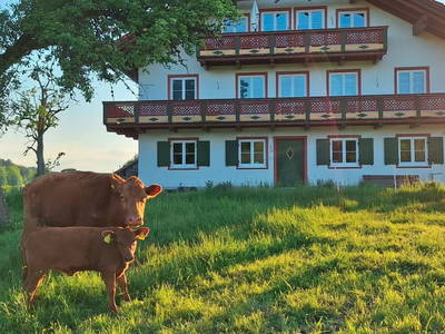 Bild 2 aus  Weiglhof