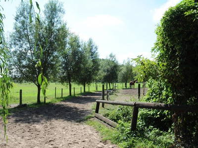 Bild 22 aus  Luisenhof Paretz