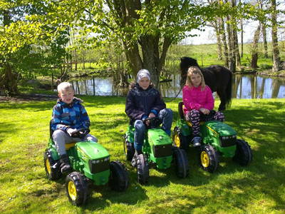 Bild 2 aus  Nygaardferie