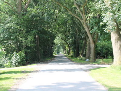 Bild 15 aus  Hof Sassen