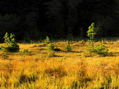 Bild 20 aus  Lärchhof