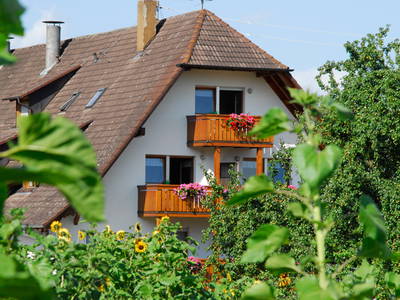 Bild 5 aus  Ferienhof Burghöfe