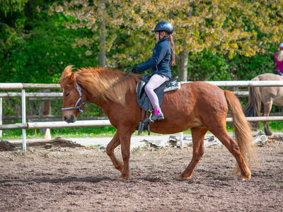 Bild 14 aus  Mitteltalhof "Lebensraum mit Vision"