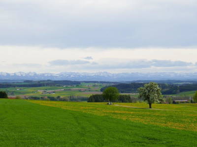 Bild 135 aus  Allgäu Bergferienhof