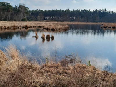 Bild 14 aus  Uttas Lodge