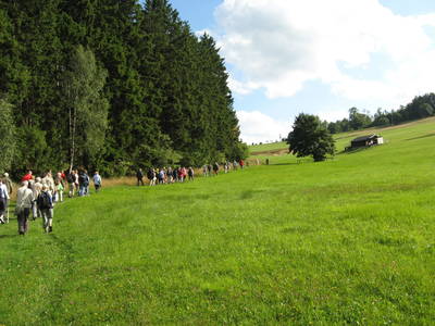 Bild 12 aus  Frankenwaldhof