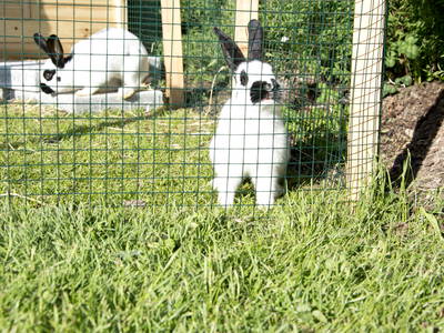 Bild 19 aus  Untersieglerhof