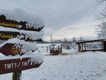 Bild 21 aus  Mitteltalhof "Lebensraum mit Vision"