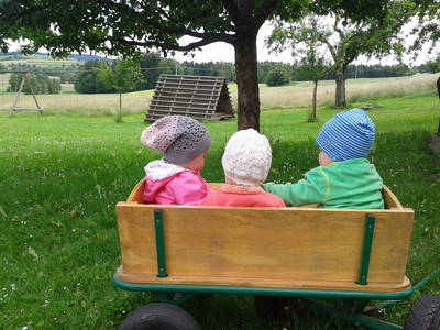 Bild 13 aus  Hanauerhof