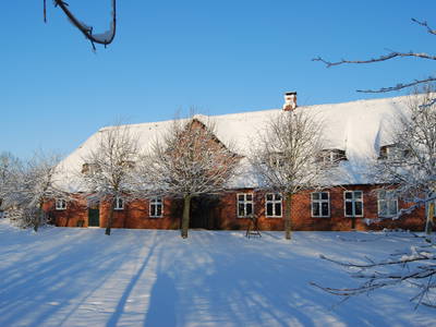 Bild 85 aus  Lindenhof