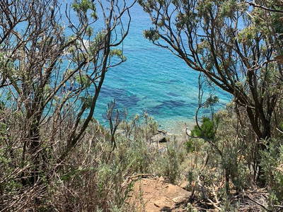 Bild 24 aus  Wunderschönes Haus im Wald am Meer in der Toskana