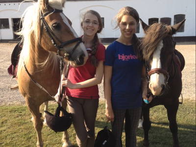 Bild 14 aus  Nübbelhof