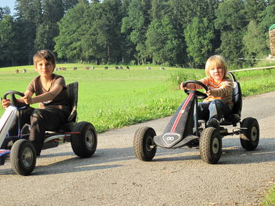 Bild 11 aus  Bauernhoferlebnis Lindenhof