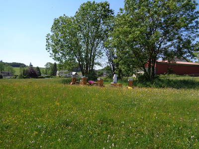 Bild 9 aus  Frankenwaldhof